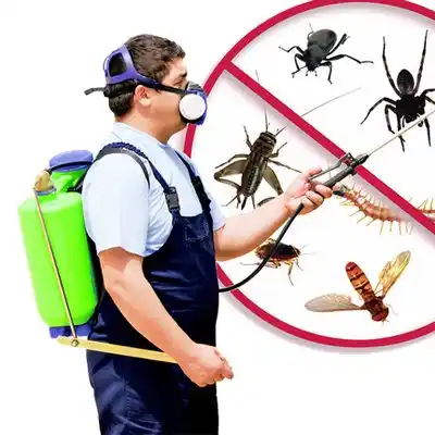 pest control Sunset Hills